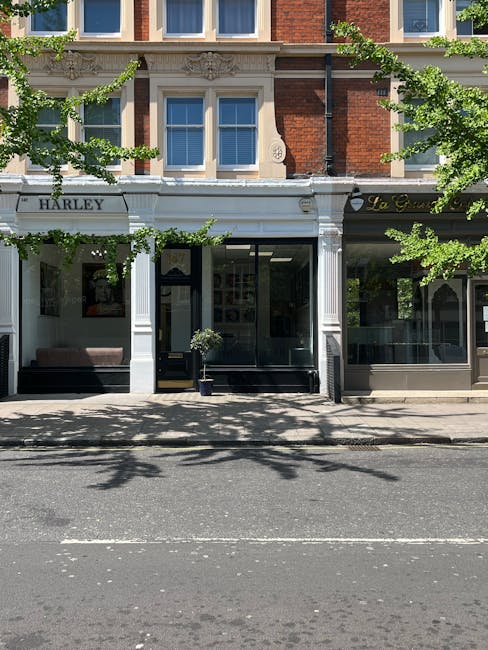 A street-level view of a building with a white facade and large glass window displays, situated within a red brick Victorian-style structure with decorative stonework. The building appears to be a commercial property, possibly a shop or office, with a black door and a small potted plant positioned outside on the sidewalk. To the left, part of a black sofa is visible through the window. Two trees with green leaves partially shade the building, casting shadows on the pavement. The foreground shows a paved road with visible lane markings, and the overall scene suggests a calm urban area suitable for house removals or furniture transport. Marylebone Man and Van often uses such locations for the loading and unloading process during home relocation or moving services, involving careful handling of furniture and packing materials inside the property and onto their vehicles.